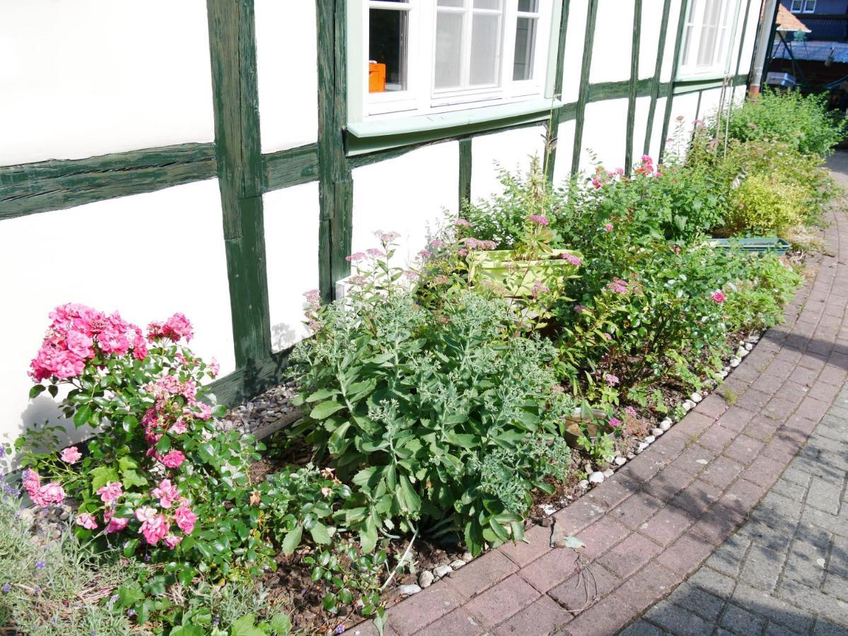 Schloss Goldacker - Das Schloss Der Gesundheit Weberstedt エクステリア 写真